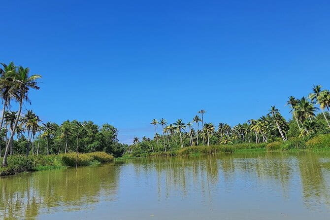 Private 8 Days Tour from Trivandrum with Cochin,Munnar,Thekkady & Houseboat etc - A Deep Dive into the Kerala Experience