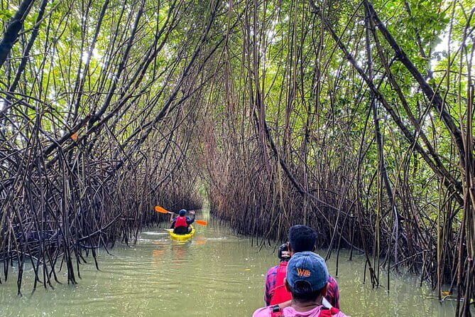 Private 8 Days Tour from Trivandrum with Cochin,Munnar,Thekkady & Houseboat etc - Final Thoughts