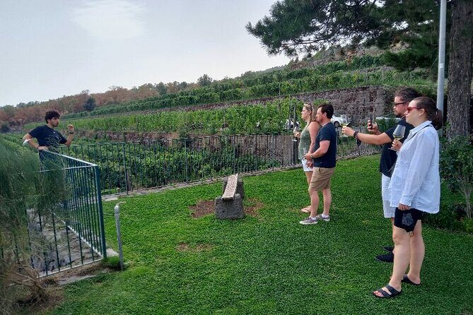 Private 8-Days Tour of Sicily - Discover Unesco Treasures of the Island - Price and Value