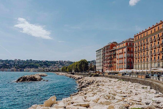 Private 8-hour Excursion of Naples and Pompeii from Naples Cruise Port or Hotel - Introduction