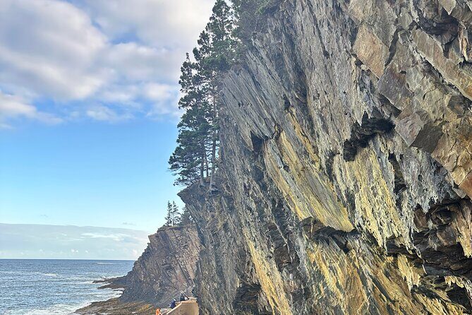 Private 8-Hour Halifax and South Shore Guided Tour - The Itinerary Breakdown: What to Expect