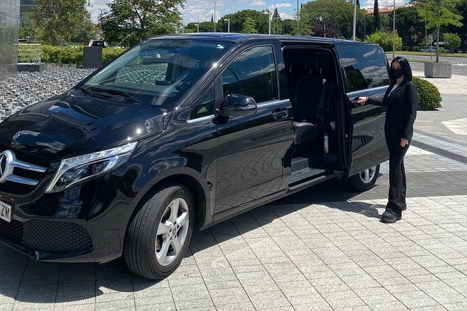 Private 8-hour Shore Excursion from Civitavecchia to Rome - Cruise port pick up - Practical Details & Considerations