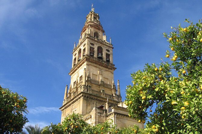 Private 9-Hour Tour to Cordoba from Granada with Hotel pick up & drop off - The Sum Up