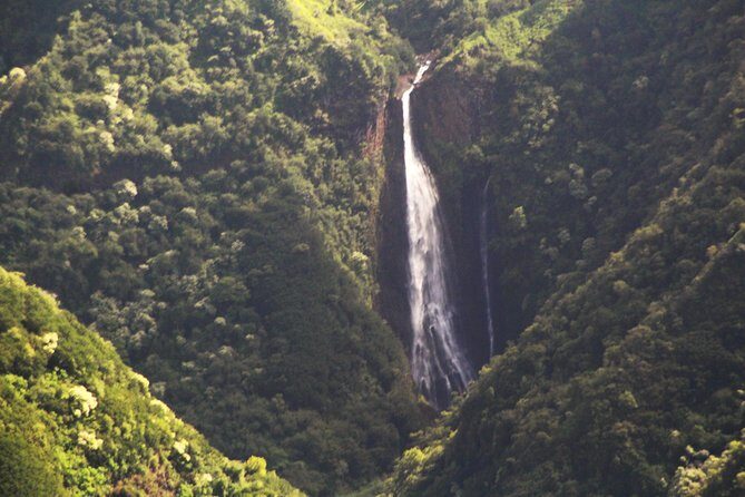 Private 90-Minute Kauai and Forbidden Island Airplane Tour - FAQ