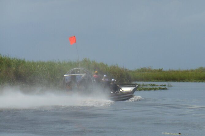 Private 90 Minutes Everglades Airboat Adventure - Final Thoughts