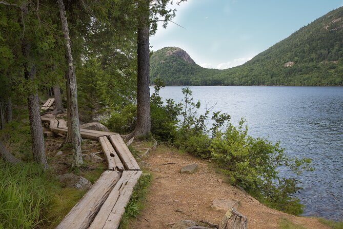 Private Acadia & Mount Desert Island Tour (full day, six hours) - Who Should Consider This Tour?