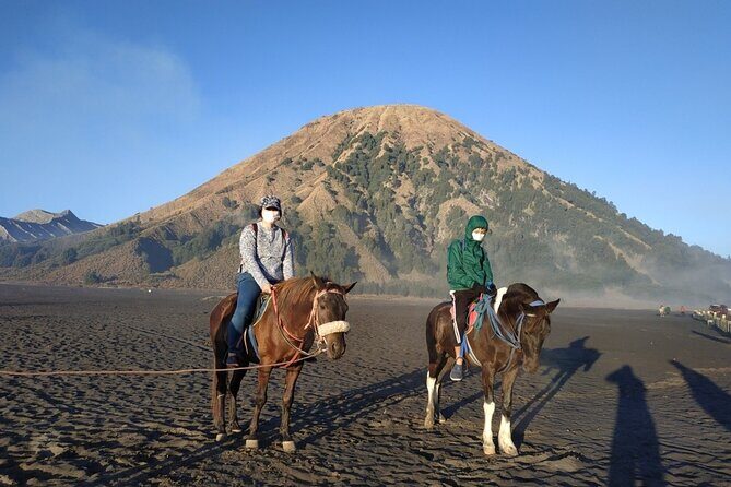 Private Adventure King Kong Hill Bromo National Park in Malang - Exploring the Full Experience: A Deep Dive