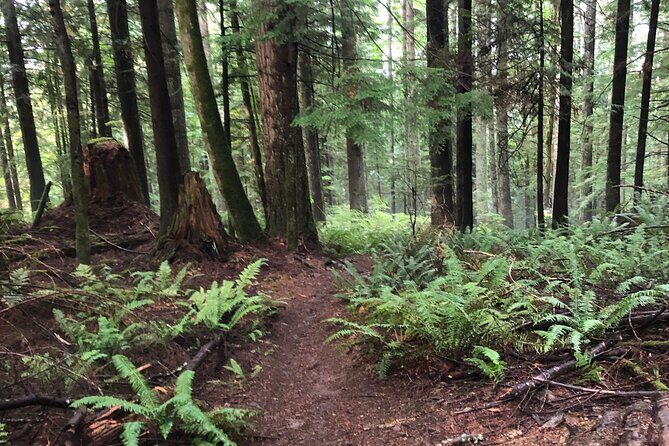 Private Adventure Mountain Biking in Seattle's Eastside - Private Adventure Mountain Biking in Seattles Eastside: An In-Depth Review
