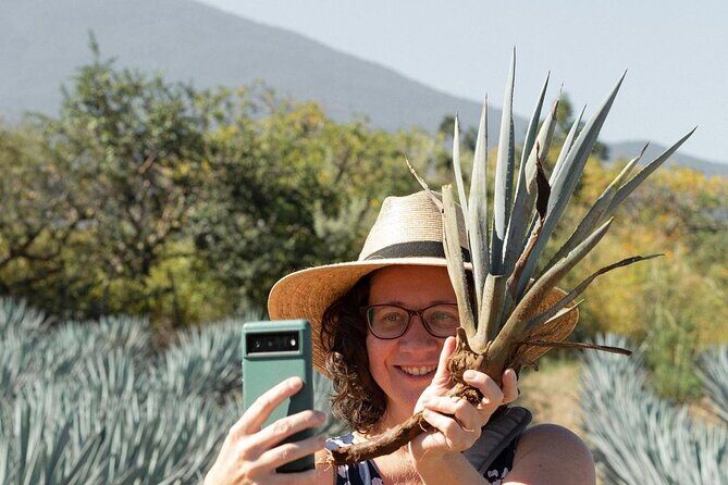 Private Adventure to El Tequileño Distillery and visit to Tequila - Key Points
