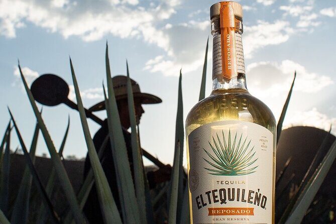 Private Adventure to El Tequileño Distillery and visit to Tequila - Final Thoughts