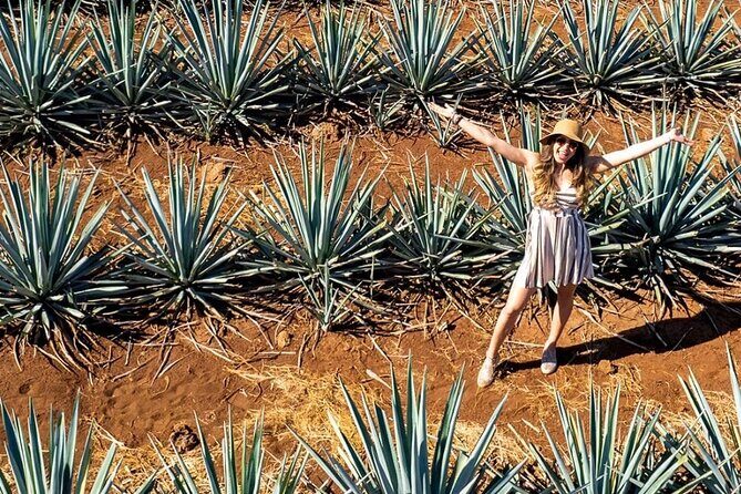 Private Adventure to El Tequileño Distillery and visit to Tequila - FAQ