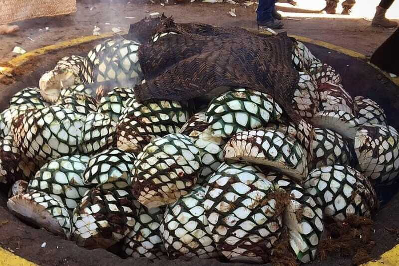 Private Adventure to Tequila and el Cascahuin Distillery - Who Should Consider This Tour?