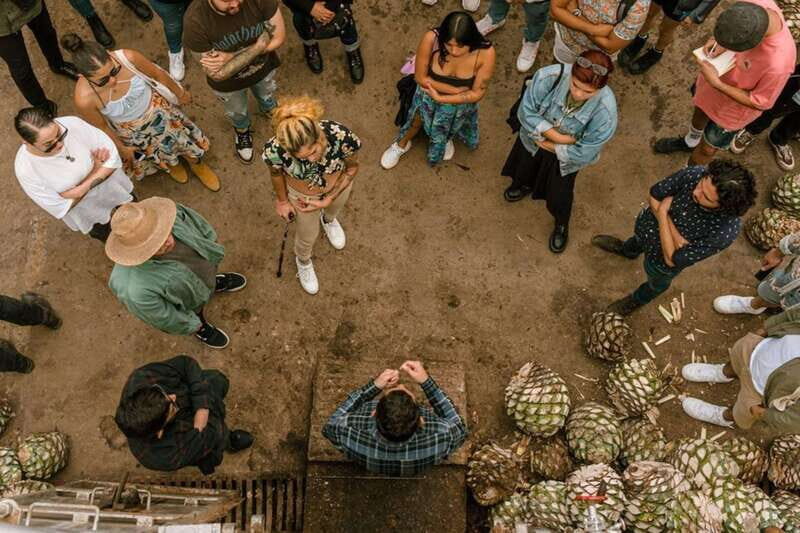 Private Adventure to Tequila and el Cascahuin Distillery - The Sum Up