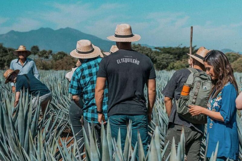 Private Adventure to Tequila and Tequila El Tequileño - An In-Depth Look at the Tour