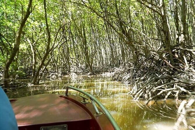 Private Adventure to Vam Sat Mangrove and Wildlife - The Full Experience – A Deep Dive into the Tour