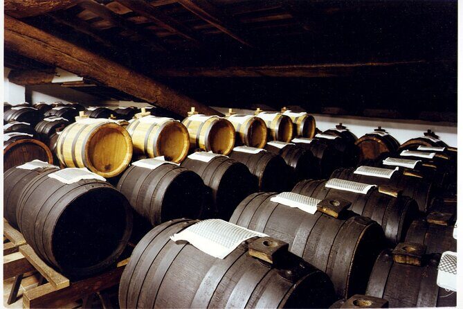 Private Afternoon Tour in Historic Acetaia and Ferrari Museum - After the Speed: A Taste of Modena’s Balsamic Heritage