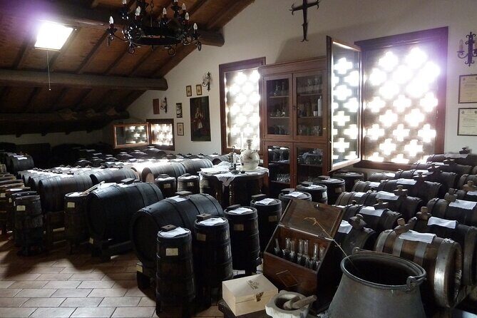 Private Afternoon Tour in Historic Acetaia and Ferrari Museum - Who is this tour best suited for?