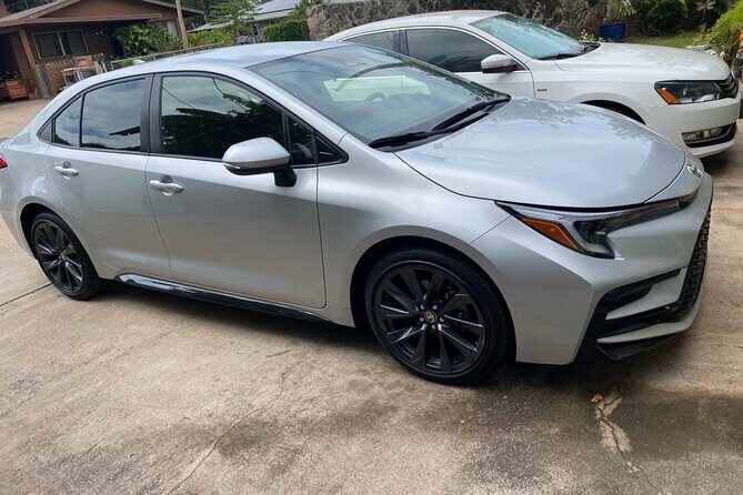 Private Airport Arrivals Rides to Hotel - Introduction