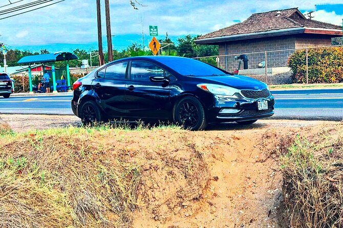 Private Airport Arrivals Rides to Hotel - What Makes This Transfer Stand Out