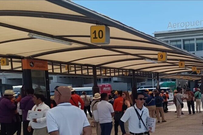 Private Airport Transfer to San José del Cabo - Who Is This Transfer Best For?