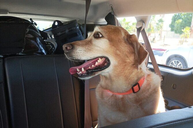 Private Airport Transportation in Cabo San Lucas - FAQs