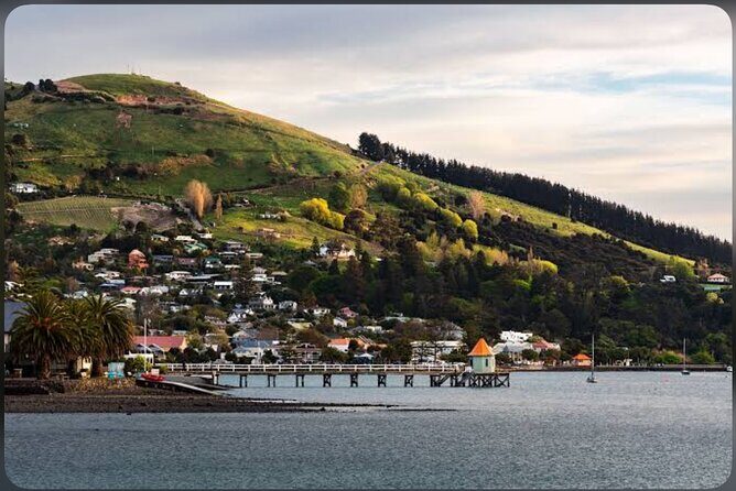 Private Akaroa Day Tour From Christchurch - An In-Depth Look at the Tour Experience
