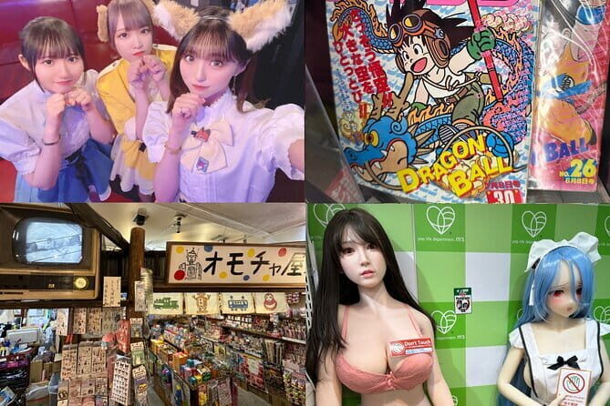 Private Akihabara Retro Tokyo Anime Game Maid Cafe Tour w/ pickup - A Closer Look at the Tour Experience