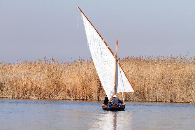 Private Albufera Day Trip: Paella, Boat Ride and Nature Trek - Who Will Love This Tour?