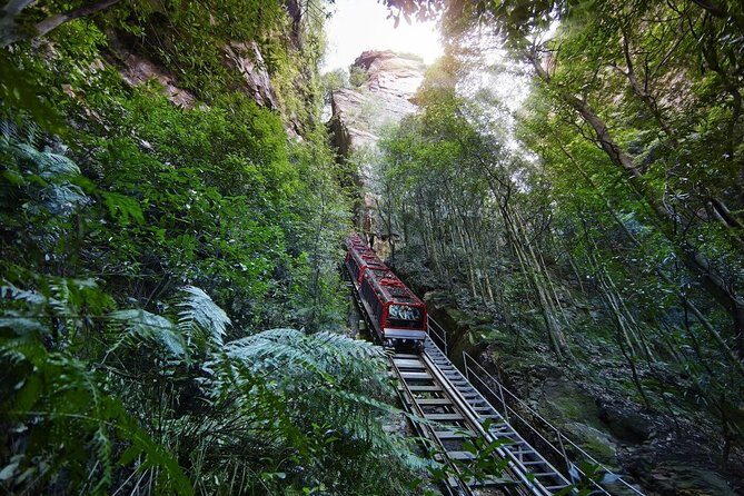 Private All Blue Mountains Day Tour - An In-Depth Look at the Blue Mountains Private Tour