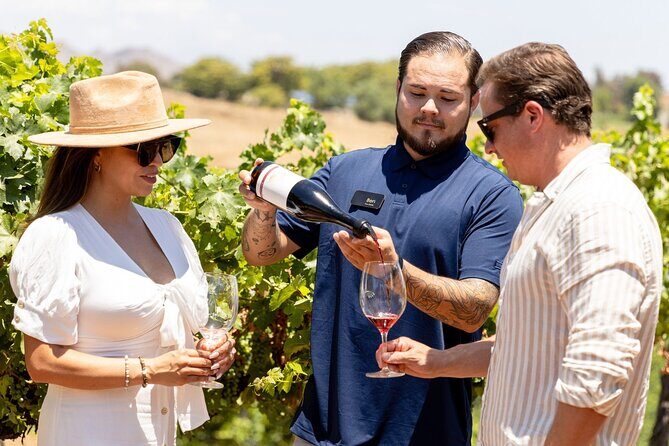 Private All-Inclusive 3-Winery Tour from Paso Robles/Atascadero - The Sum Up