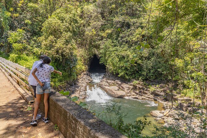 Private - All Inclusive Big Island Volcano & Waterfalls Tour - Why This Tour Stands Out