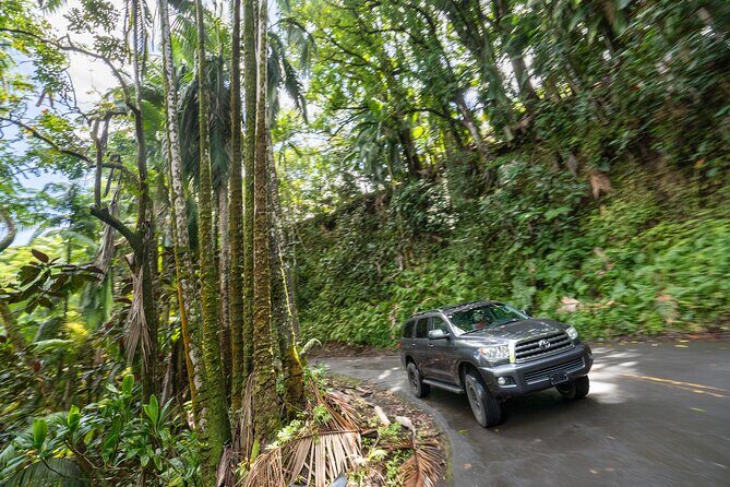 Private - All Inclusive Big Island Volcano & Waterfalls Tour - FAQ