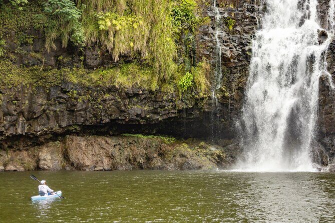 Private - All Inclusive Big Island Waterfalls Tour - Who Will Love This Tour?