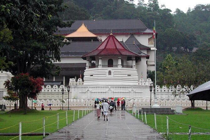 Private All Inclusive Day Tour to Kandy from Colombo and Negombo - An in-Depth Look at the Tour Experience