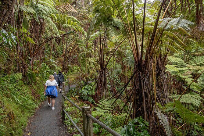 Private - All Inclusive Hawai'i Volcanoes National Park Tour - The Authentic Experience You Need