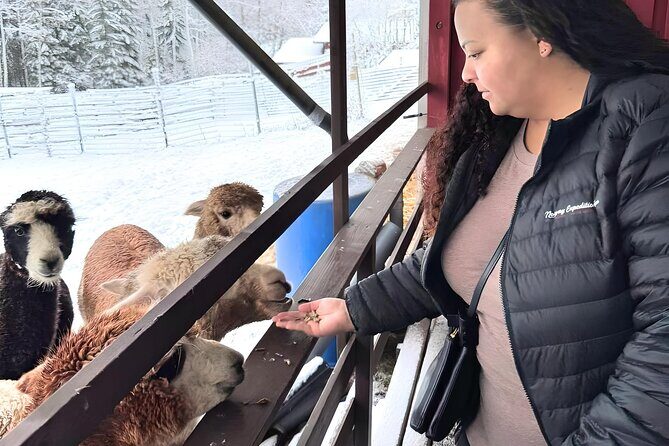 PRIVATE Alpaca Guided Forest Walk + Feeding Helsinki - What Makes This Tour Stand Out