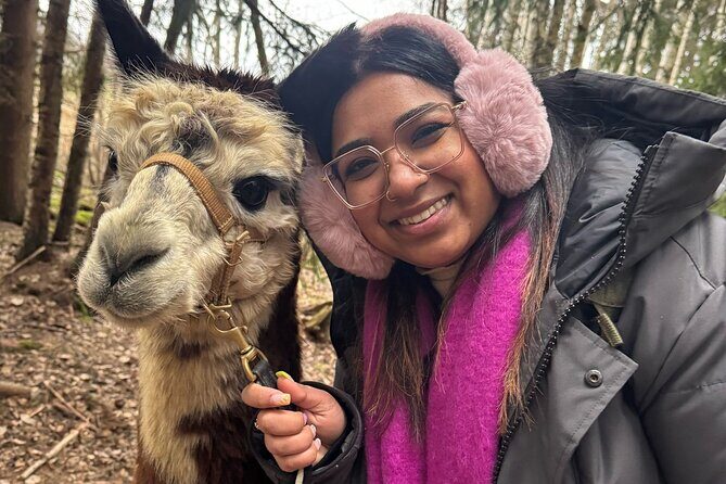 PRIVATE Alpaca Guided Forest Walk + Feeding Helsinki - FAQ