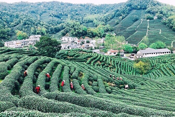 Private Amazing Hangzhou Airport Layover Tour with Lunch or Dinner Option - Transportation & Logistics