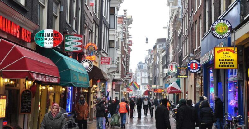 Private Amsterdam Walking Tour - Introducing the Tour: A Deep Dive into the Dutch Capital