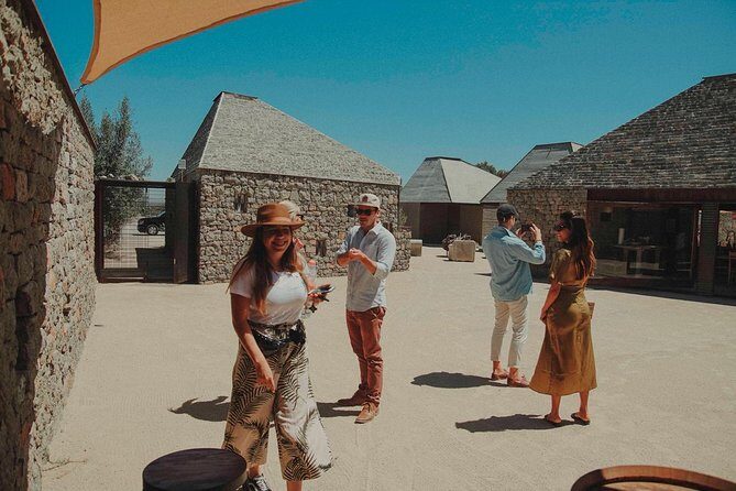 Private and custom group Wine tour Valle de Guadalupe - Additional Tips for Future Travelers