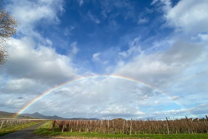 Private and customizable: Alsace Wine Route HIGHLIGHTS in 3 hours - A Deep Dive into the Alsace Wine Route Private Tour