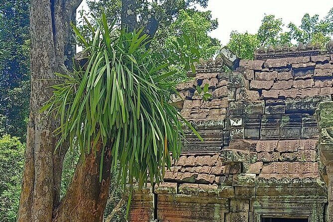 Private Angkor Wat Guided Sunset Tour - FAQ