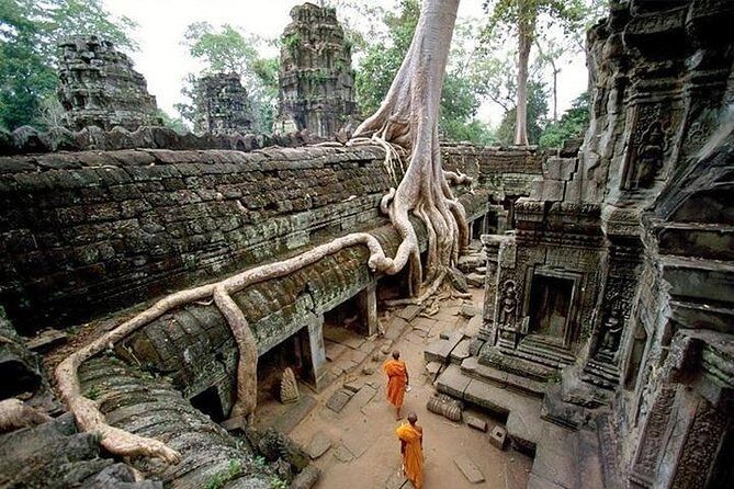 Private Angkor Wat Sunrise Tour - The Experience in Detail