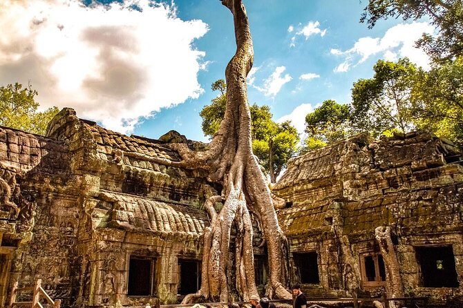 Private Angkor Wat Tour from Siem Reap - The Itinerary in Detail: What Makes Each Stop Special