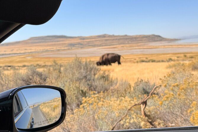 Private Antelope Island & Great Salt Lake Tour - Introduction: Your 4-Hour Utah Nature Escape