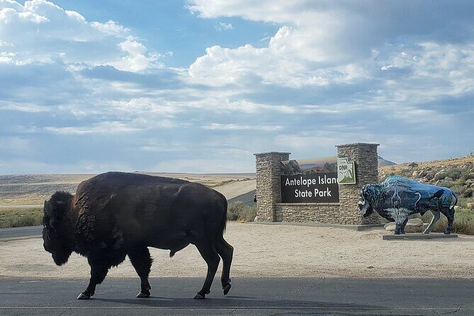 Private Antelope Island State Park Tour - Key Points