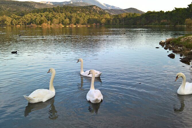 Private Argostoli Walking Experience - The Practical Details