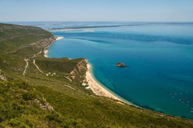 Private Arrábida and Comporta Wine Full Day Tour From Lisbon - Market Visit in Setúbal