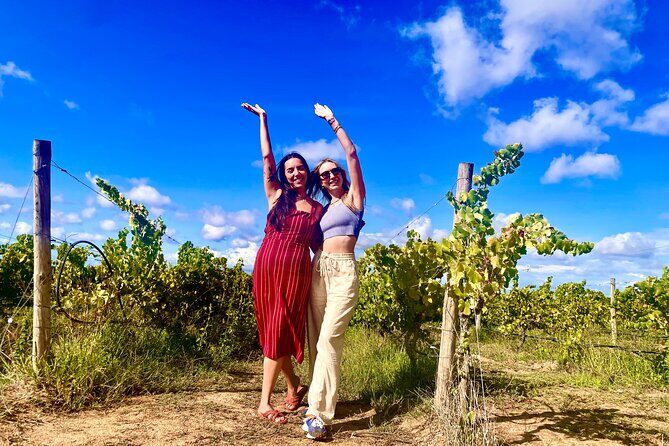 Private Arrábida & Setúbal Wine Tour: All-Inclusive from Lisbon - Why You’ll Love This Experience