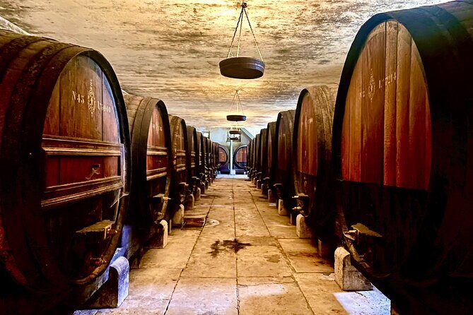 Private Arrábida & Setúbal Wine Tour: All-Inclusive from Lisbon - Value for Money